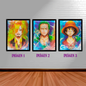CUADRO 3D ONEPIECE